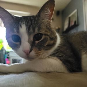 Meet your Posher, Emma